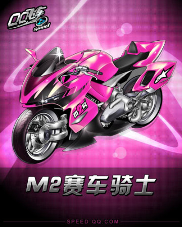 的比赛阶段 的比赛阶段